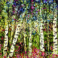 Summer Birch